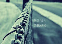 字母圈的经历和观点