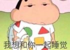 字母圈纪实经历：萌新的DS小记