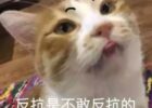 字母圈brat作死守则-字母圈官网