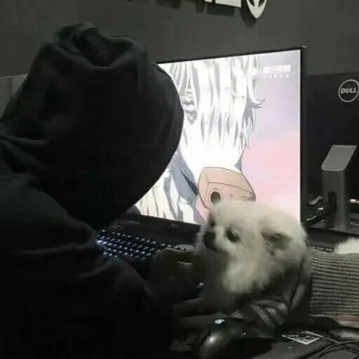 蓝 宇